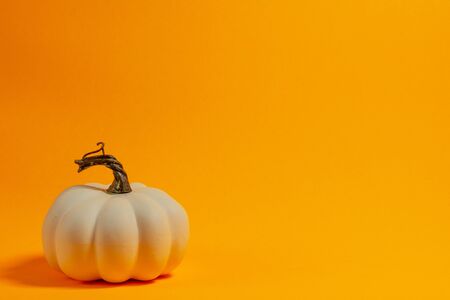 White decorative thanksgiving pumpkin front view on an orange background with room for textの写真素材