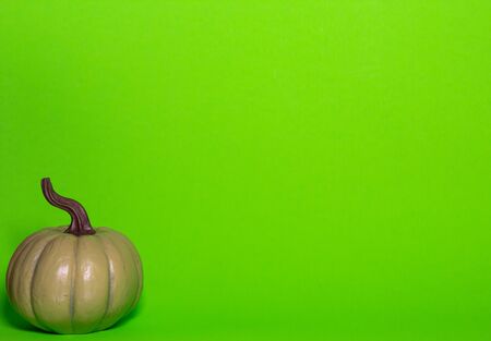 Green decorative thanksgiving pumpkin front view on a green background with room for textの写真素材