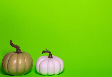Green and white decorative thanksgiving pumpkins front view on a green background with room for textの写真素材