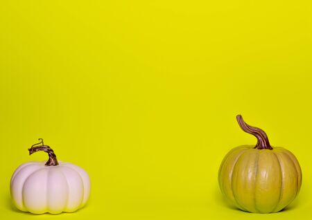 White and green decorative thanksgiving pumpkins front view on a green yellow background with room for textの写真素材