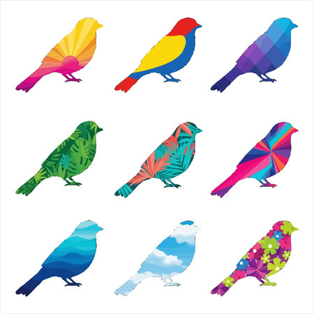 set of colorful birds isolated on a white background. vector illustration.のイラスト素材