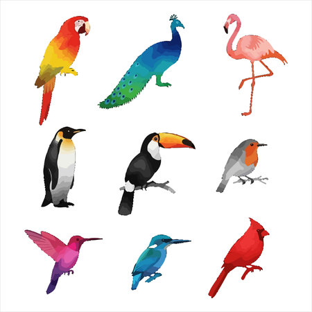 Set of different colorful birds isolated on white background. Vector illustration.のイラスト素材