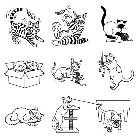cat cartoon doodle icon vector illustration design graphic black and whiteのイラスト素材