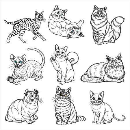 Vector set of cats. Isolated on white background. Hand drawn illustration.のイラスト素材