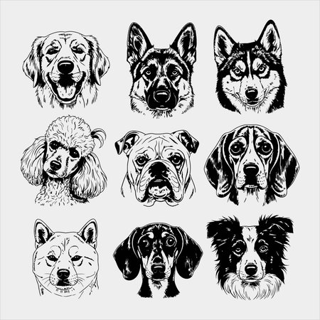set of vector portraits of dogs in black and white colors, vector illustrationのイラスト素材