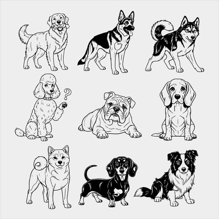 set of different breeds of dogs, vector illustration in black and whiteのイラスト素材