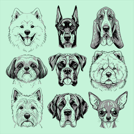set of vector portraits of dogs on a green background, hand drawingのイラスト素材