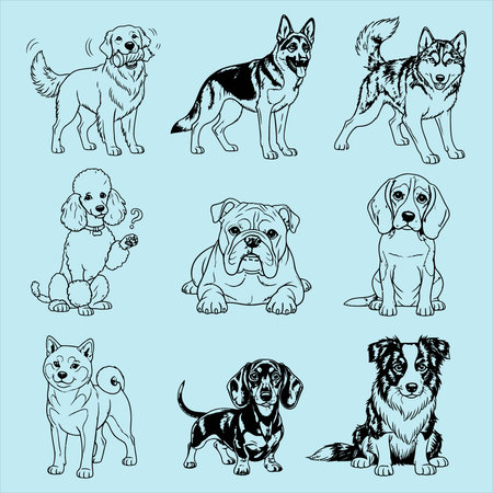 set of dog breeds on blue background, vector illustration in sketch styleのイラスト素材