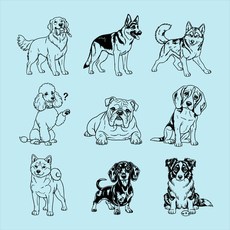Set of vector hand drawn dogs. Different breeds of dogs. Vector illustration.のイラスト素材