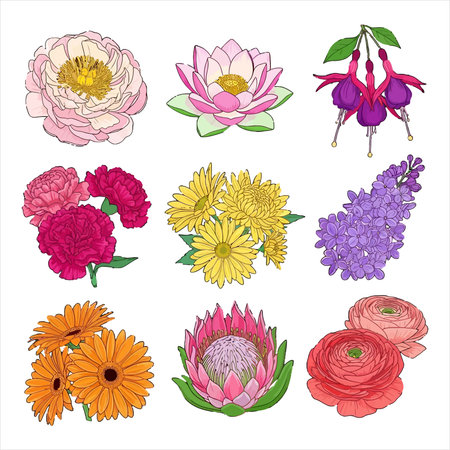 Set of flowers. Vector illustration. Isolated on white background.のイラスト素材