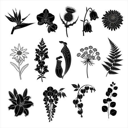 Set of black and white silhouettes of flowers and plants. Vector illustrationのイラスト素材