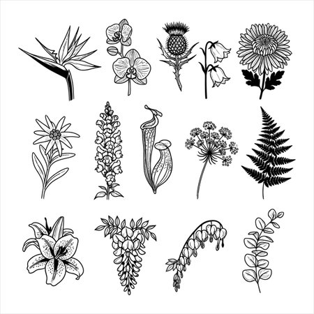Vector set of hand drawn wild flowers. Black and white illustration.のイラスト素材