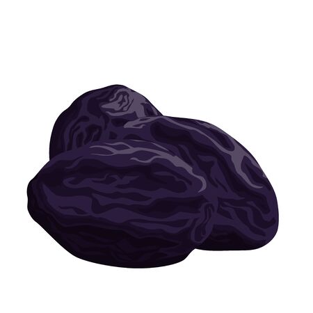 Dried plums vector illustration. Prunes isolated on white.のイラスト素材