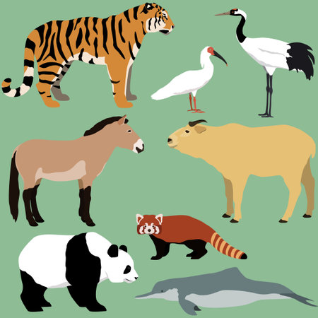 Vector set of cartoon animals of China.