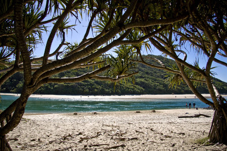 Beautiful Beach Scene