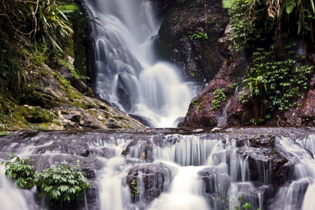 Waterfall in the rainforest