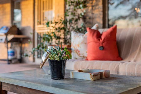 Interior of a cozy terrace with a sofa and a flower potの写真素材