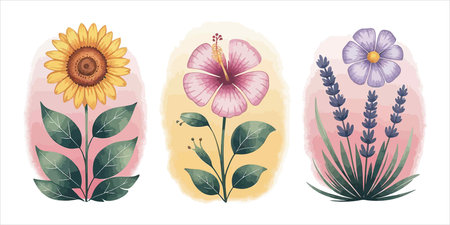 set of flowers with leafs and petals vector illustration designiconのイラスト素材