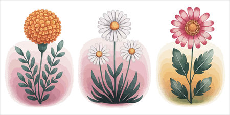 Set of daisies in watercolor style. Vector illustration.のイラスト素材