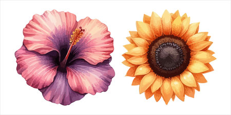 Set of hibiscus flowers. Hand drawn vector illustration.のイラスト素材