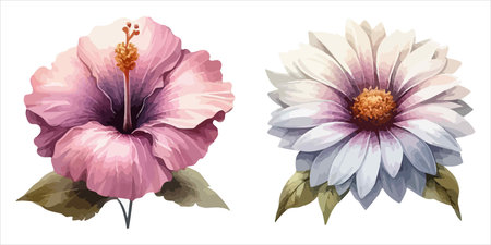 Set of watercolor hibiscus flowers. Vector illustration.のイラスト素材