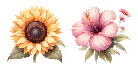 Watercolor hibiscus flowers set isolated on white background.のイラスト素材