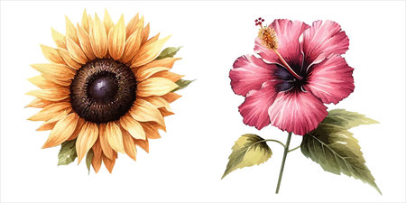 Beautiful set of hand drawn watercolor flowers. Vector illustration.のイラスト素材