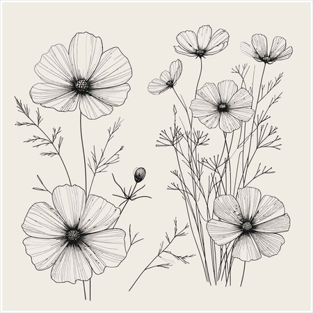 An elegant floral drawing featuring delicate flowers and leaves, isolated on a white background, creating a clean and sophisticated botanical art piece for decoration.のイラスト素材
