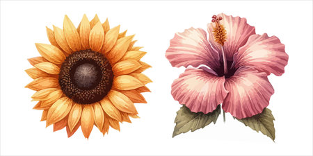 Set of hand drawn watercolor hibiscus flowers. Vector illustration.のイラスト素材
