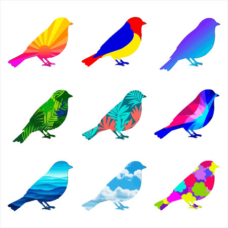 Colorful birds set on white background. Vector illustration for your designのイラスト素材
