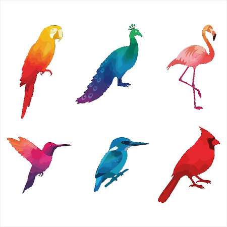 Set of colorful birds isolated on white background. Vector Illustration.のイラスト素材