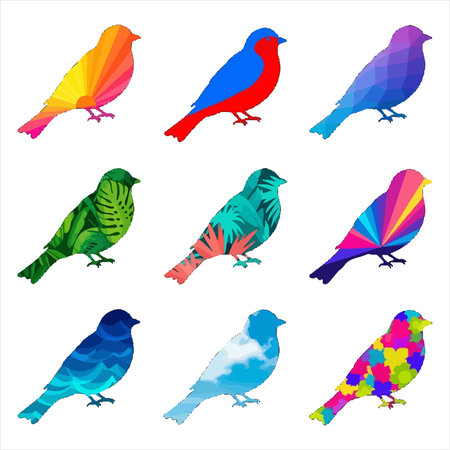 Colorful birds set isolated on white background. Vector illustration. EPS 10のイラスト素材