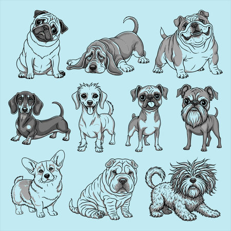 A delightful vector illustration featuring nine distinct cartoon dog breeds, including a pug, basset hound, bulldog, dachshund, corgi, shar-pei, and more. Each charming pet character is depicted with unique features and expressions, making this collection ideal for various design projects related to animals, pets, and canine themes.のイラスト素材