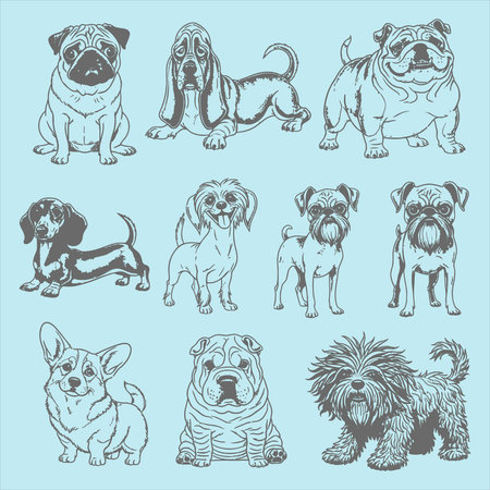 set of vector hand drawn doodle dog breeds on blue backgroundのイラスト素材