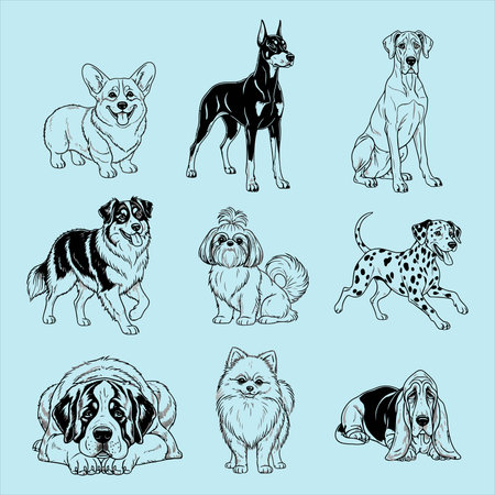 set of vector illustrations of different breeds of dogs in line art styleのイラスト素材