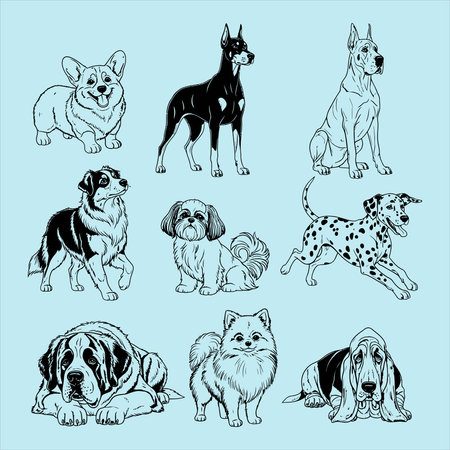 set of dog breeds, vector illustration in black and white colors.のイラスト素材