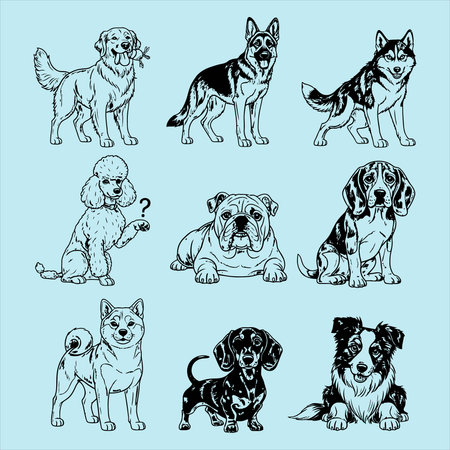 set of cute dogs on blue background, vector illustration in sketch styleのイラスト素材