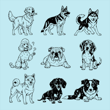 set of cute dogs in different poses, vector illustration in sketch styleのイラスト素材