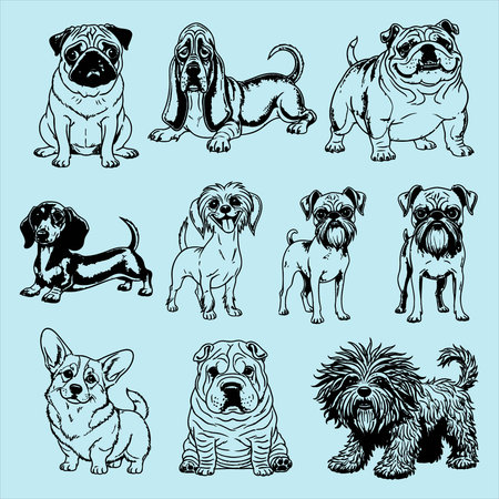 set of vector illustrations of dog breeds in the style of a sketchのイラスト素材