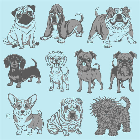 set of different breeds of dogs on a blue background, vector illustrationのイラスト素材
