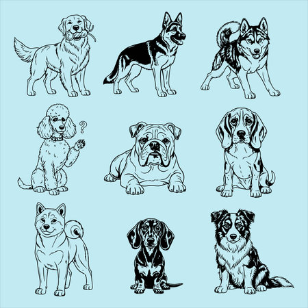 set of dog breeds isolated on blue background, vector illustration in sketch styleのイラスト素材