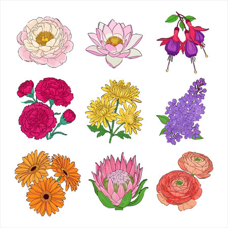 Set of hand drawn flowers. Vector illustration isolated on white background.のイラスト素材