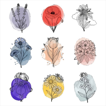 Set of hand drawn flowers isolated on white background. Vector illustration.のイラスト素材