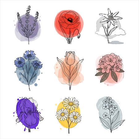 Hand drawn vector set of flowers and plants. Isolated on white background.のイラスト素材