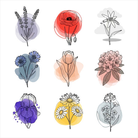 Set of hand drawn vector flowers and plants isolated on white background.のイラスト素材