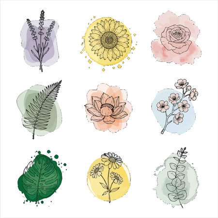Vector set of hand drawn watercolor floral elements. Isolated on white background.のイラスト素材