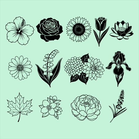 Set of black and white flowers. Floral elements. Vector illustration.のイラスト素材