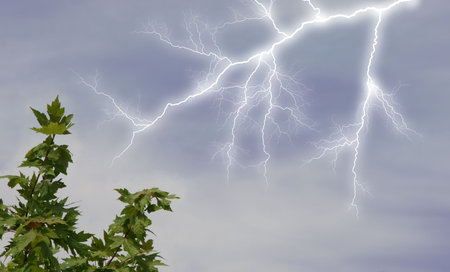 Lightening striking near tree branch.