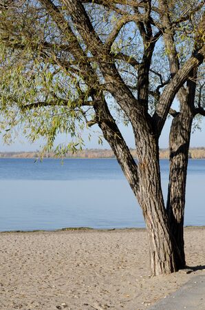 Ottawa River in the Fall.の写真素材