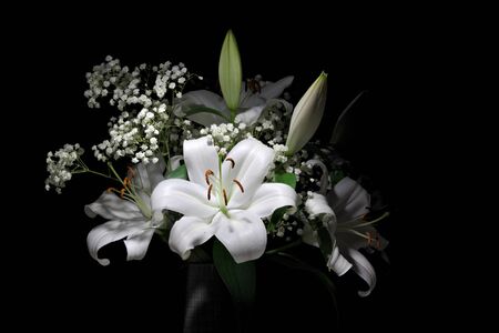 A large bouquet of bright white lilies and Gypsophila Paniculataの写真素材